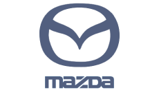 Двигатель programmatic 
в России